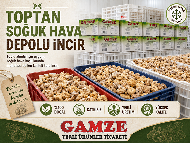 Toptan Soğuk Hava Depolu İncir-276