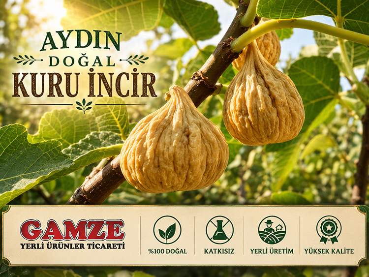 Aydın Doğal Kuru İncir