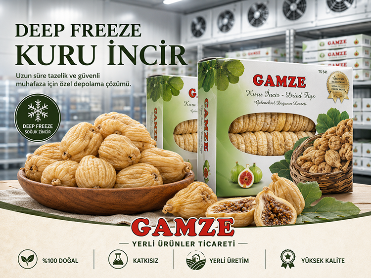 Deep Freeze Kuru İncir