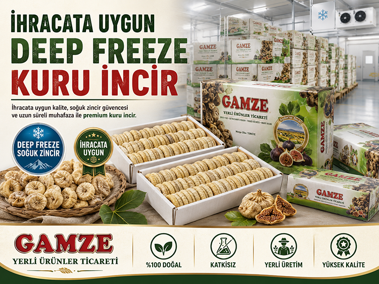 İhracata Uygun Deep Freeze Kuru İncir